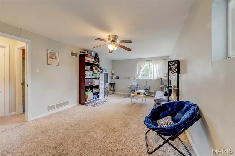 10 Park Circle, O'Fallon, MO 63366 — listing photo 22 of 34