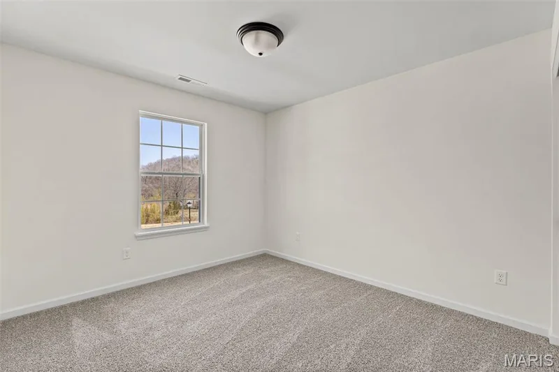 Carpeted spare room featuring baseboards — 563 Edison Way, Wentzville, MO 63385