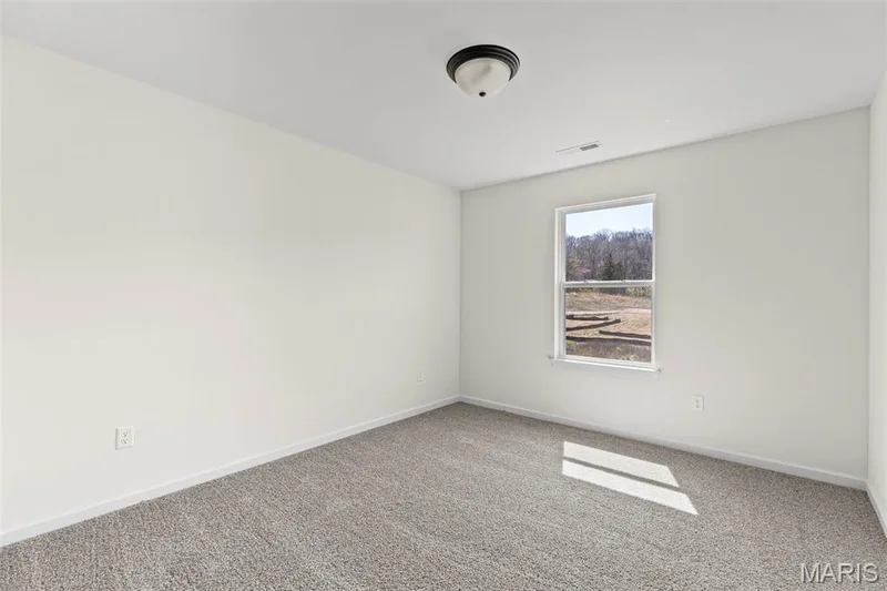 Carpeted spare room with baseboards — 563 Edison Way, Wentzville, MO 63385