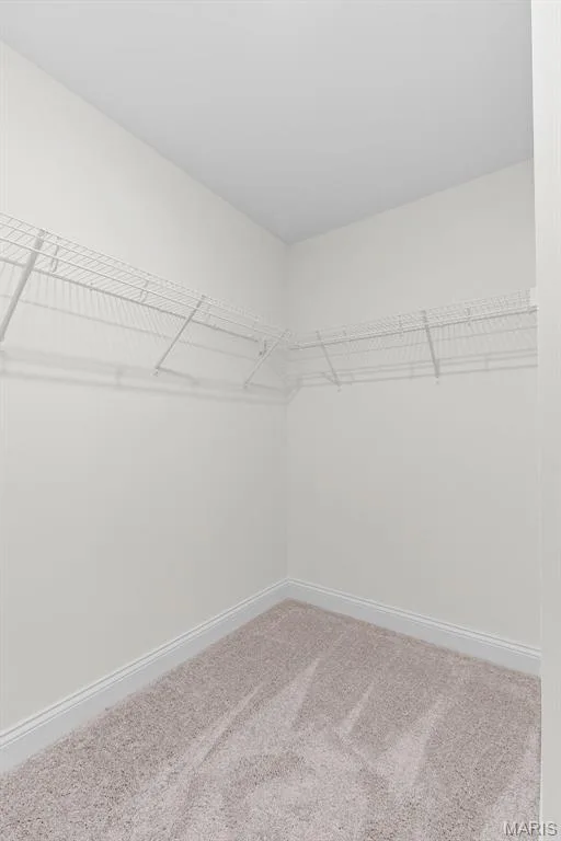 Spacious closet with carpet flooring — 1 TBB Sydney @ Kreder Farms, St Charles, MO 63304