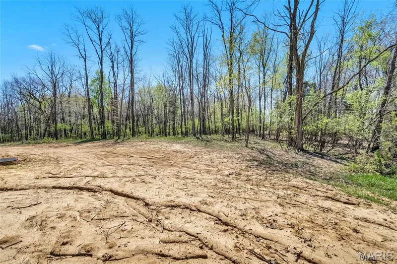 Photo of a previously built Dogwood model. Some upgraded features and options shown. — The Dogwood@The Ests @ Schaper Farms, Foristell, MO 63348