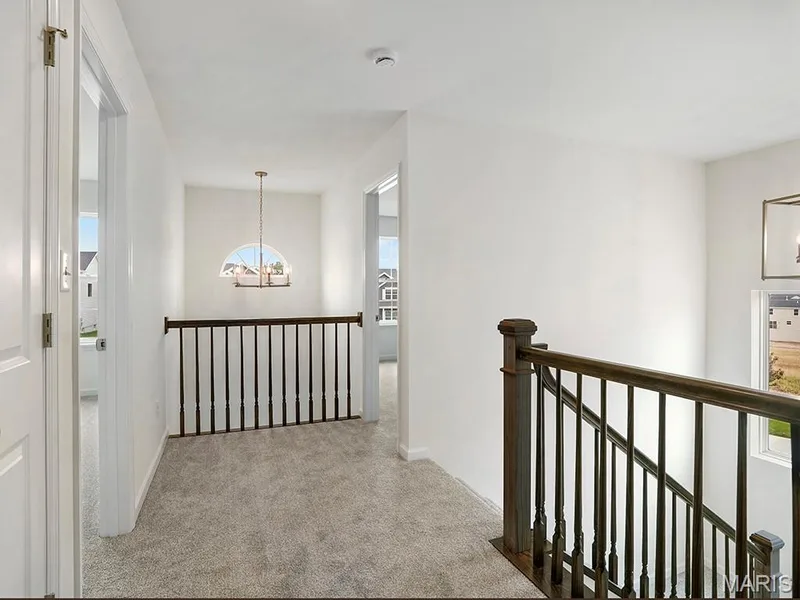 223 Windmill View Drive, O'Fallon, MO 63385 — listing photo 19 of 30