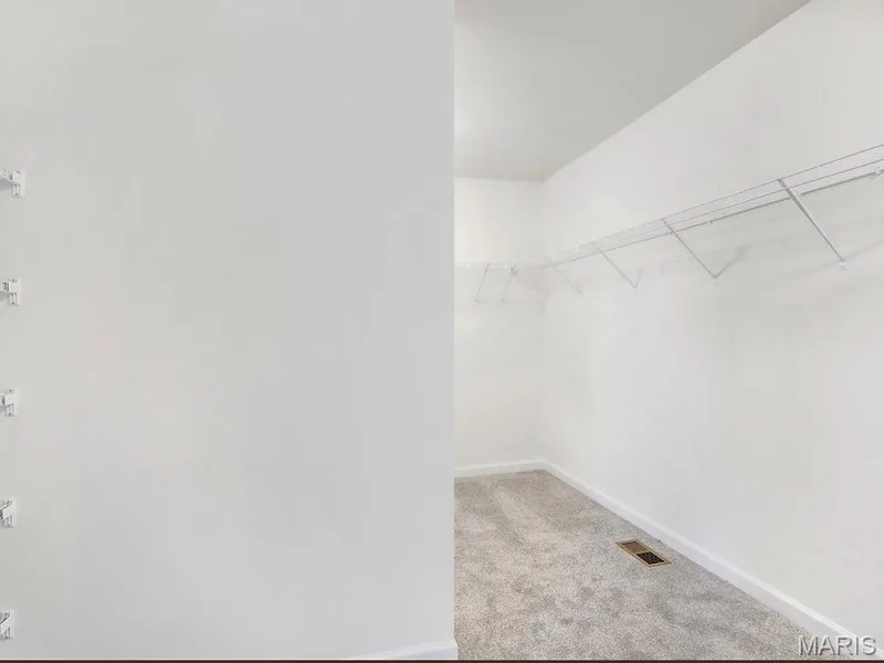 223 Windmill View Drive, O'Fallon, MO 63385 — listing photo 22 of 30