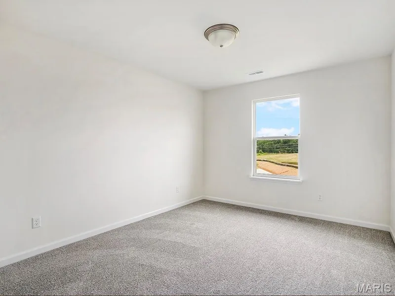 223 Windmill View Drive, O'Fallon, MO 63385 — listing photo 25 of 30