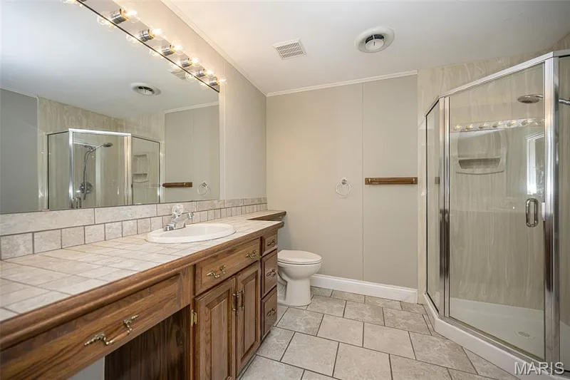 14380 Cedar Springs Drive, Chesterfield, MO 63017 — listing photo 37 of 42