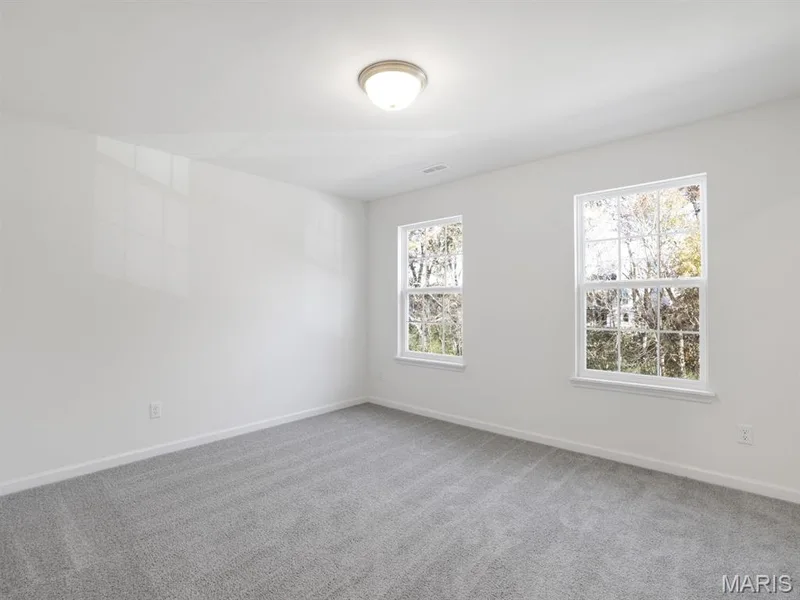 314 Fall Harvest Parkway, O'Fallon, MO 63385 — listing photo 10 of 21
