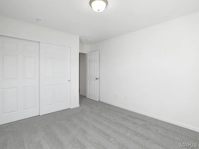 314 Fall Harvest Parkway, O'Fallon, MO 63385 — listing photo 12 of 21