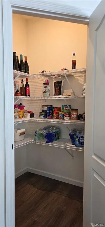 walk-in pantry w/ light — 327 Dalriada Boulevard, O'Fallon, MO 63368