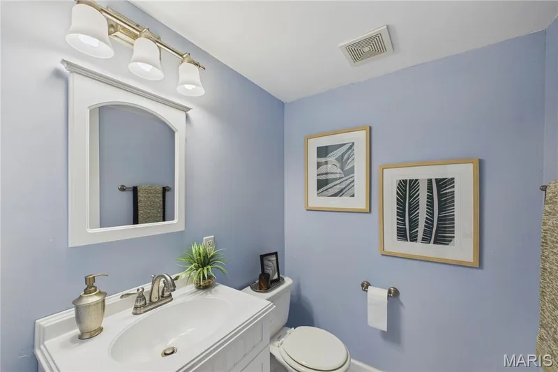 14292 Cedar Springs Drive, Chesterfield, MO 63017 — listing photo 23 of 39