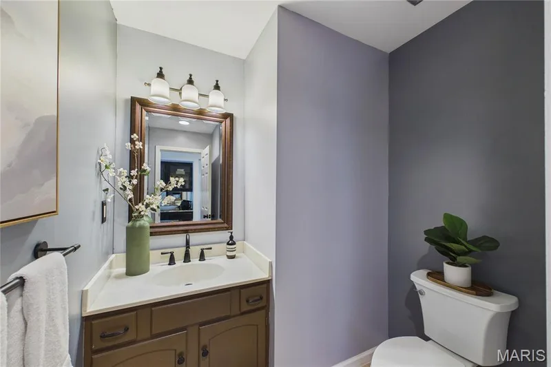 14292 Cedar Springs Drive, Chesterfield, MO 63017 — listing photo 25 of 39
