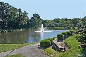 14292 Cedar Springs Drive, Chesterfield, MO 63017 — listing photo 35 of 39