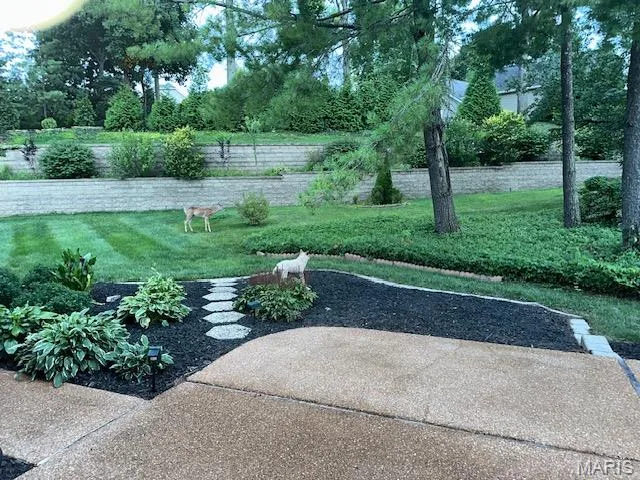 14292 Cedar Springs Drive, Chesterfield, MO 63017 — listing photo 29 of 39