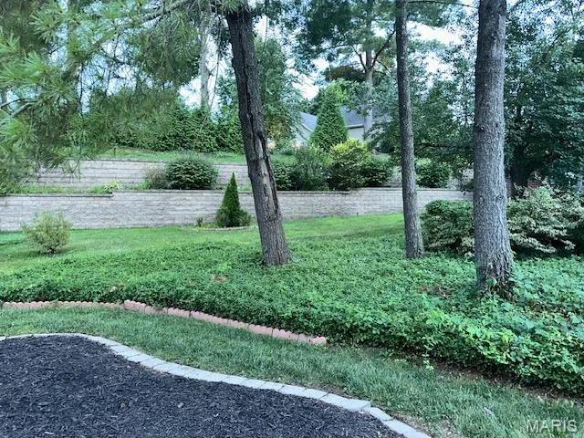 14292 Cedar Springs Drive, Chesterfield, MO 63017 — listing photo 28 of 39