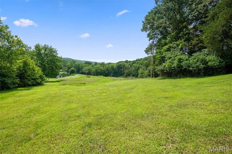 19037 Foxrun Hollow Lane, Wildwood, MO 63069 — listing photo 5 of 49