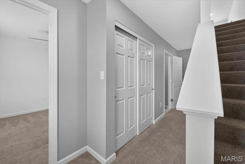 208 Freehold Rock Way, St Charles, MO 63301 — listing photo 30 of 62