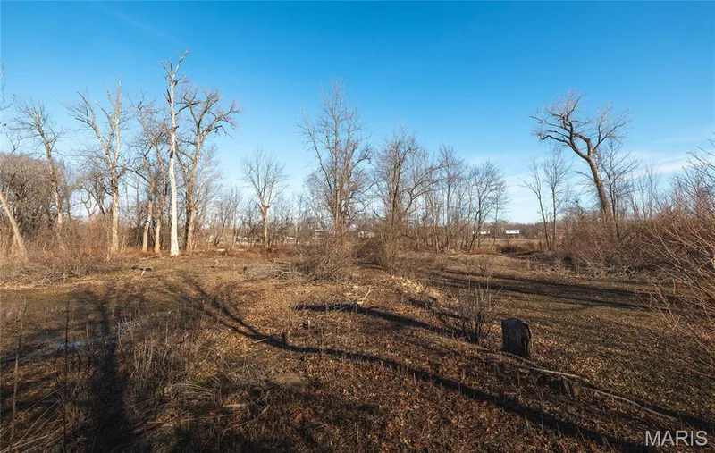 10 Lehmond Island Road, St Charles, MO 63301 — listing photo 37 of 54