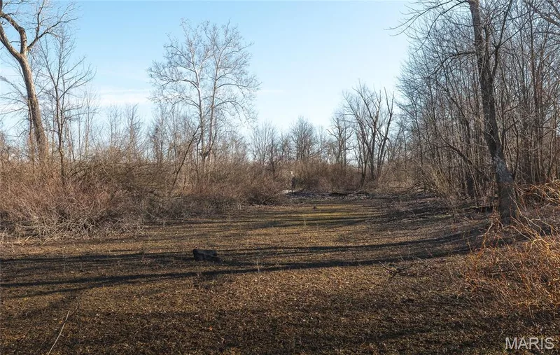 10 Lehmond Island Road, St Charles, MO 63301 — listing photo 38 of 54