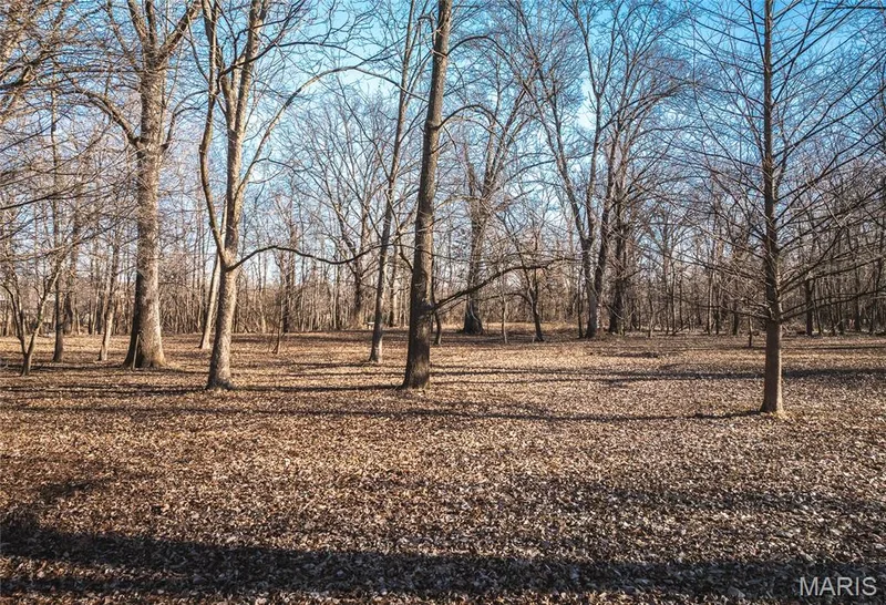 10 Lehmond Island Road, St Charles, MO 63301 — listing photo 52 of 54