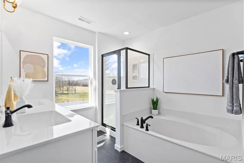 2 Sterling at Wilmer Valley, Wentzville, MO 63385 — listing photo 23 of 32
