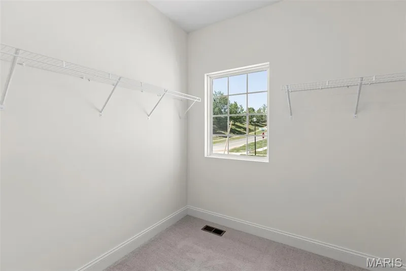 2 Pin Oak at Wilmer Valley, Wentzville, MO 63385 — listing photo 19 of 32