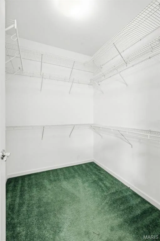 Primary walk-in closet — 1311 Pine Bluff Drive, St Charles, MO 63304
