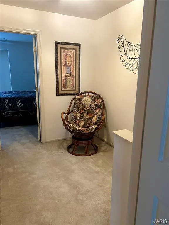 4605 Sherman Park Drive #13E, St Charles, MO 63303 — listing photo 21 of 32