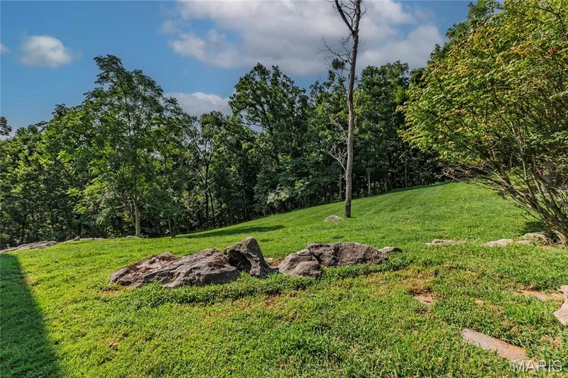 Lovely view of the woods, open ground for playset or playing ball. — 4600 Cliff Forest Drive, Wildwood, MO 63069