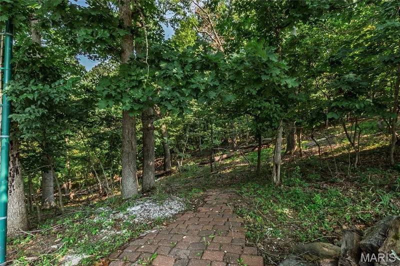 4600 Cliff Forest Drive, Wildwood, MO 63069 — listing photo 52 of 72