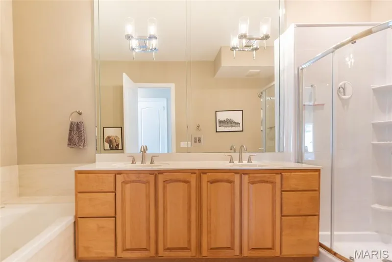 197 Woodland Place Court, St Charles, MO 63303 — listing photo 48 of 67