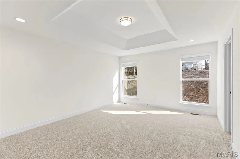 541 Evening Primrose Drive, Wentzville, MO 63385 — listing photo 21 of 25