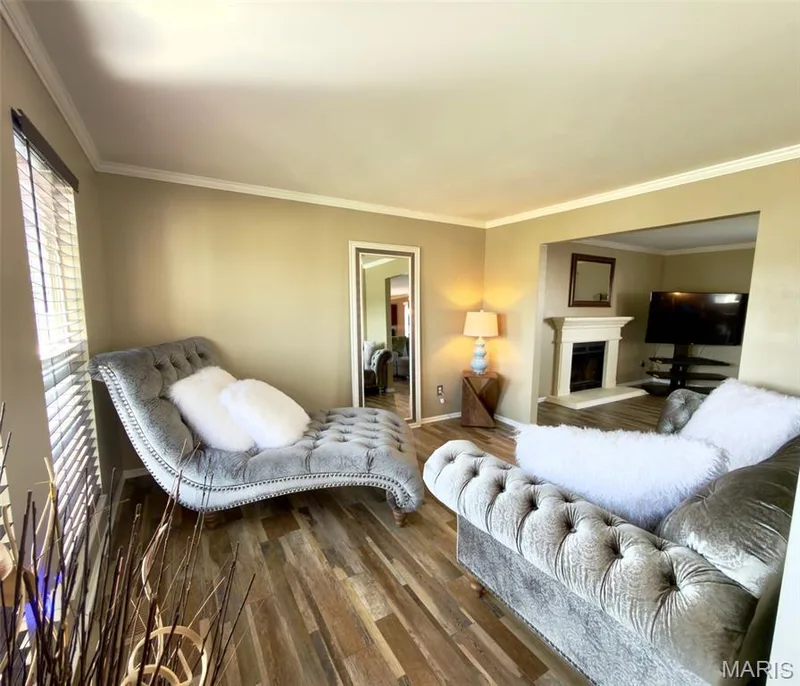 4 Pasture View Court, Wentzville, MO 63385 — listing photo 7 of 39