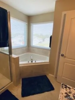4 Pasture View Court, Wentzville, MO 63385 — listing photo 33 of 39