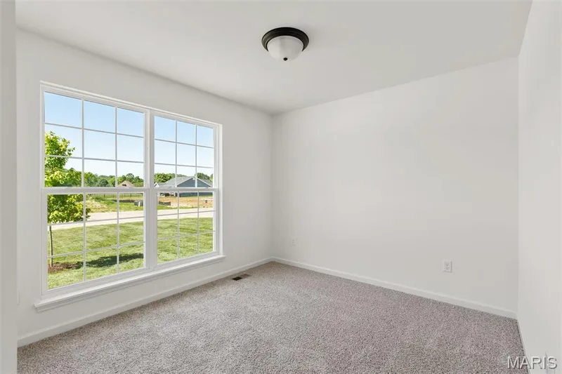 114 Day Lily Lane, Wentzville, MO 63385 — listing photo 2 of 20