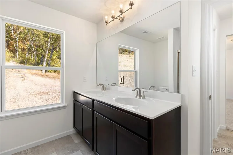 126 Day Lily Lane, Wentzville, MO 63385 — listing photo 7 of 23