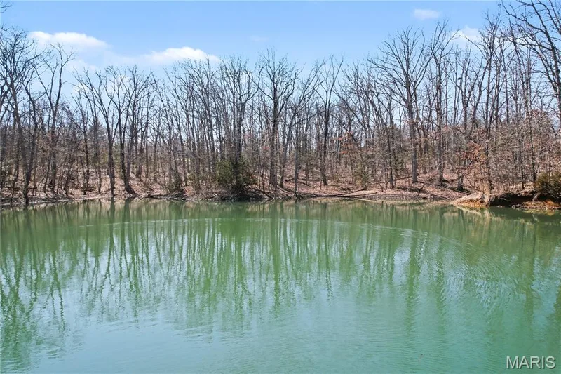 20 Dumont Court, Foristell, MO 63348 — listing photo 19 of 94