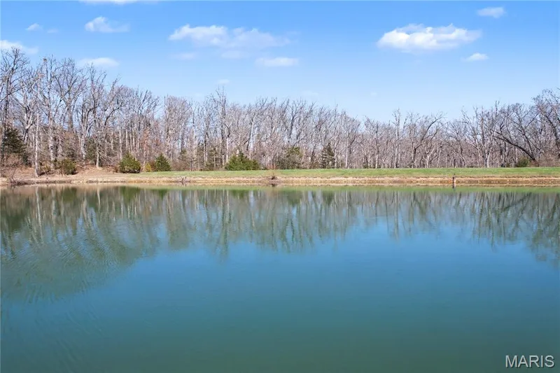 20 Dumont Court, Foristell, MO 63348 — listing photo 32 of 94