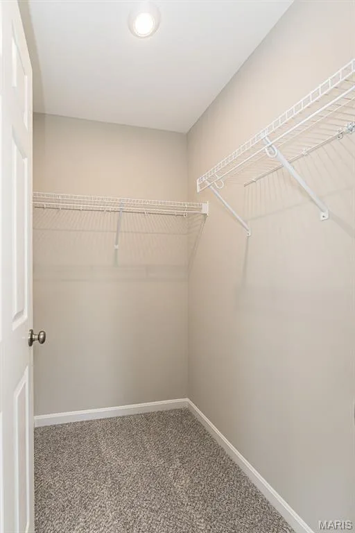 313 Kingsbarns Court, Dardenne Prairie, MO 63368 — listing photo 38 of 57