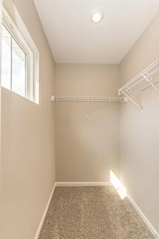 719 Southerland Drive, O'Fallon, MO 63368 — listing photo 33 of 51