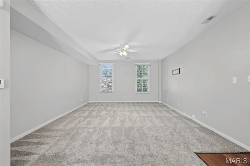 Expansive room featuring light gray walls, textured carpeting, and two windows — 3245 Domain Street, St Charles, MO 63301