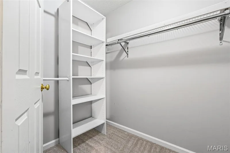 Walk-in closet with built-in shelving, carpet flooring, and a metal hanging rod system — 3245 Domain Street, St Charles, MO 63301