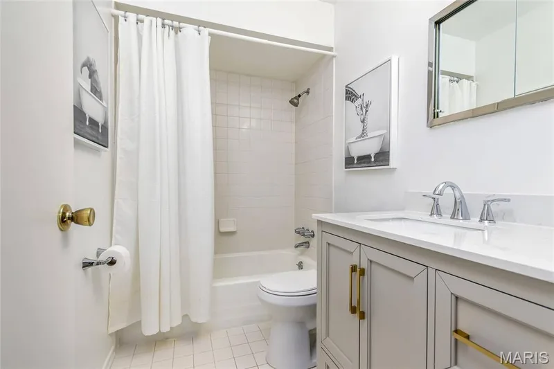 Updated hall bath with new vanity, lighting and fixtures. — 250 Brixham Drive, Chesterfield, MO 63017