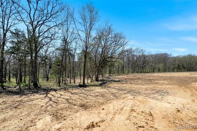 308 Schaper Estates Xing, Foristell, MO 63348 — listing photo 45 of 49