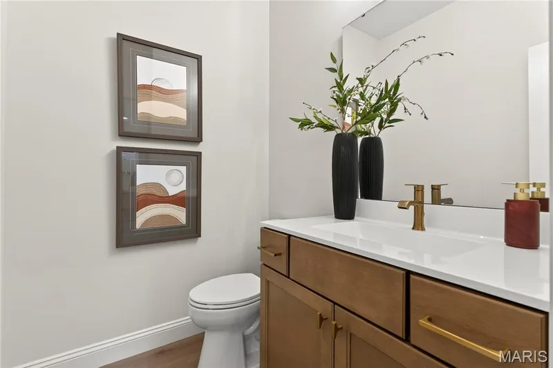 Main Floor Bathroom vanity featuring a single integrated sink, brass-finish faucet, and a large wall-mounted mirror — 369 Strawberry Grove Drive, O'Fallon, MO 63376