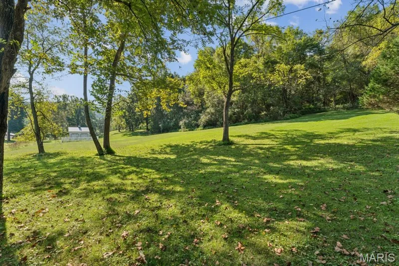 Expansive green lawn with mature trees and a wooded backdrop — 2333 Ossenfort Road, Wildwood, MO 63038