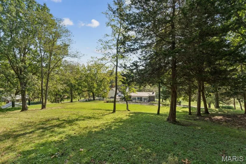 Expansive green space featuring a lush lawn and a variety of mature trees — 2333 Ossenfort Road, Wildwood, MO 63038