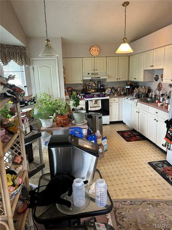 10 President Drive, O'Fallon, MO 63368 — listing photo 19 of 29