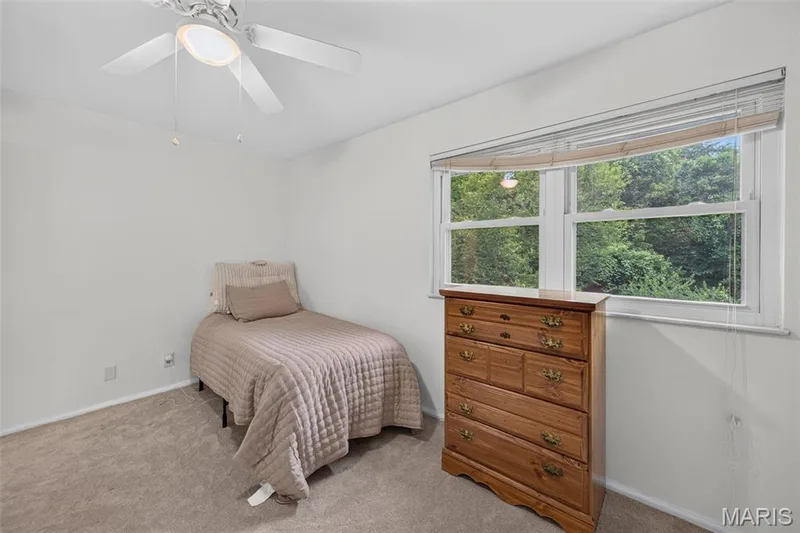 223 Trailtop Court, Chesterfield, MO 63017 — listing photo 40 of 69
