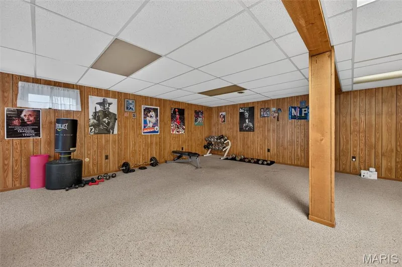 223 Trailtop Court, Chesterfield, MO 63017 — listing photo 46 of 69