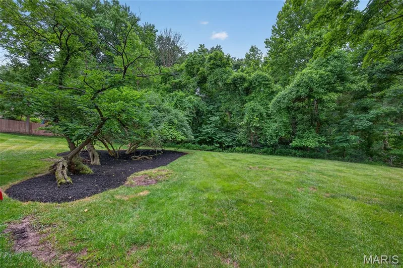 223 Trailtop Court, Chesterfield, MO 63017 — listing photo 58 of 69