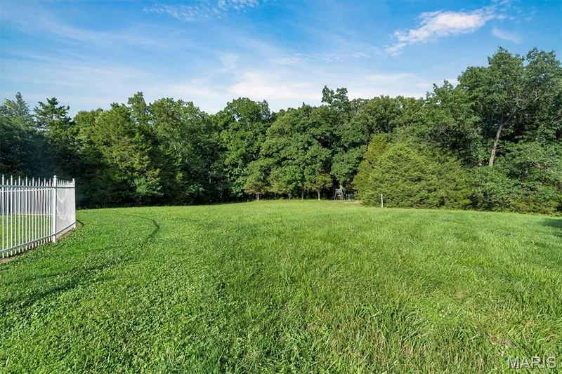 31 Raven Court, Wentzville, MO 63385 — listing photo 76 of 90